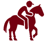 Icon Pferd mit Reiter